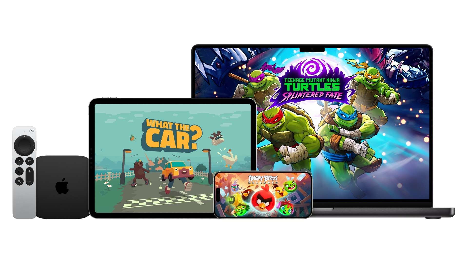 分成不同的 分成不同的