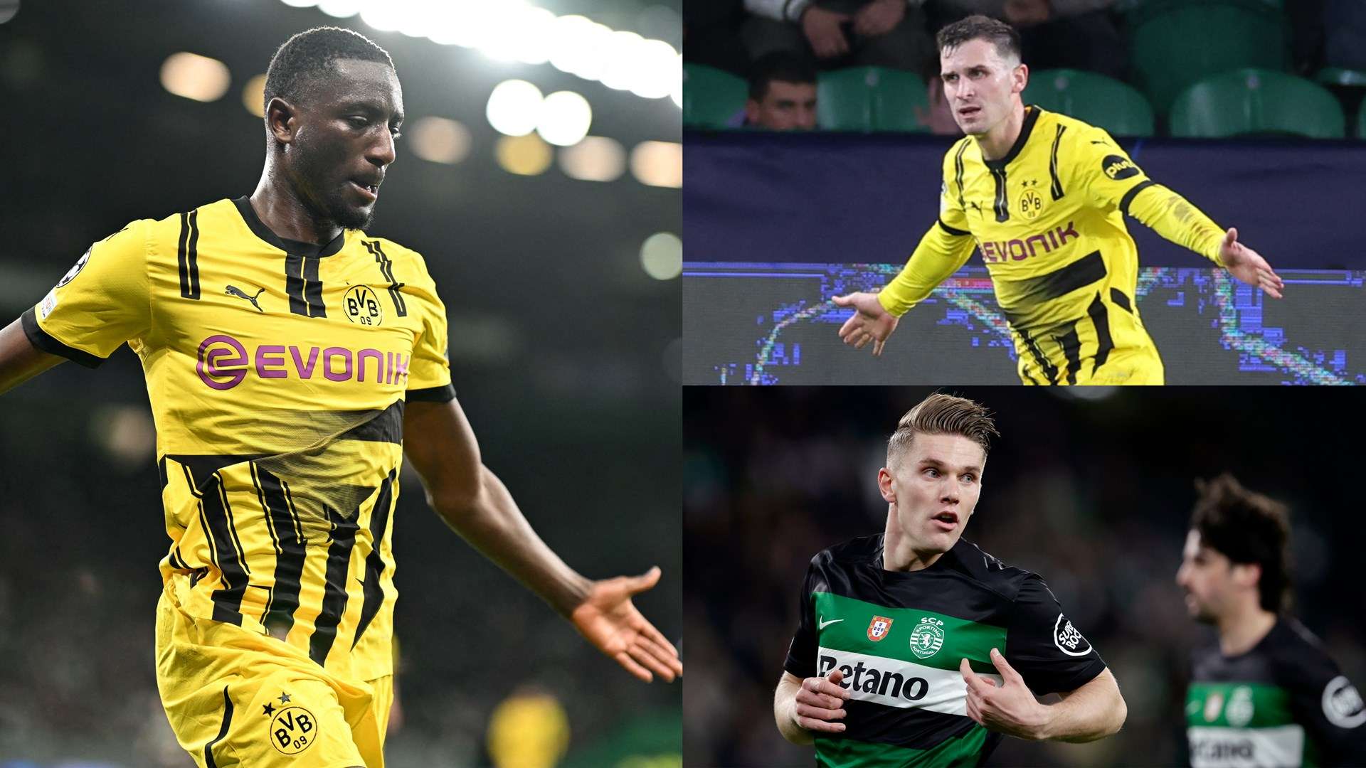 另一位备受 另一位备受